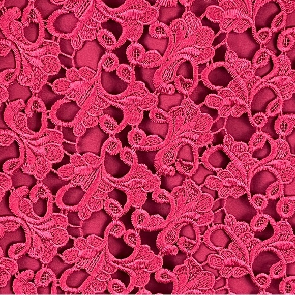 Ann Taylor Womens Embroidered Lace Overlay Skirt Size 4P Petite Dark Red NEW - Picture 3 of 13